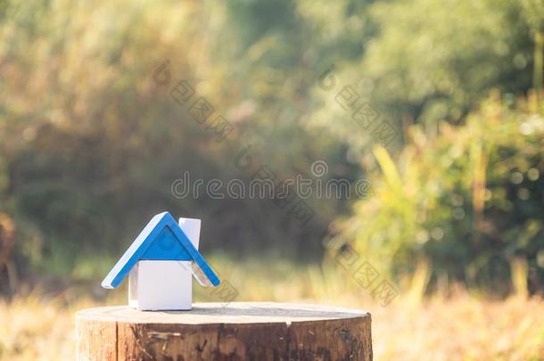 一<strong>房屋模型</strong>向木制的和污迹绿色的自然