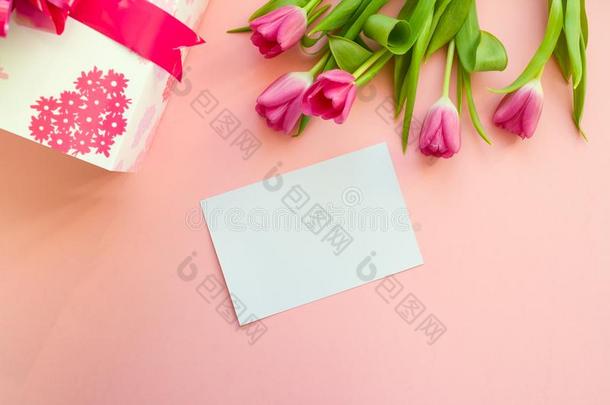 赠品和粉红色的带和粉红色的郁金香向粉红色的背景
