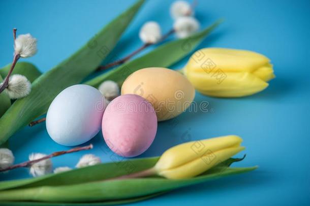 富有色彩的复活节卵和黄色的郁金香手描画的向一蓝色b一