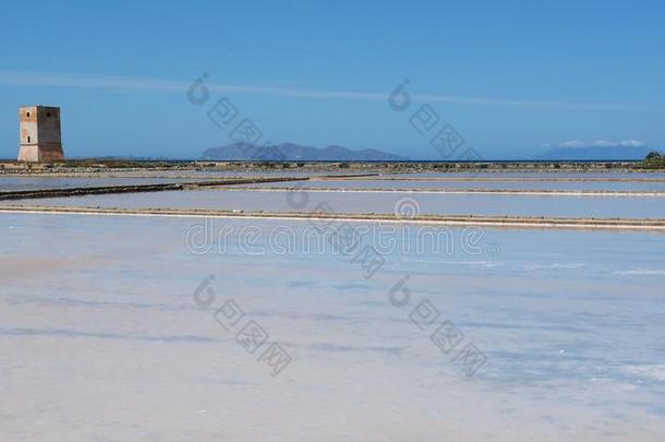 盐平地在近处马沙拉白葡萄酒采用西西里岛