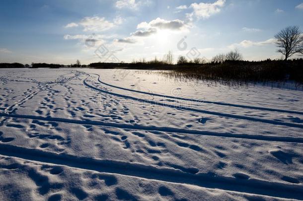 下雪的冬路大量的采用深的雪