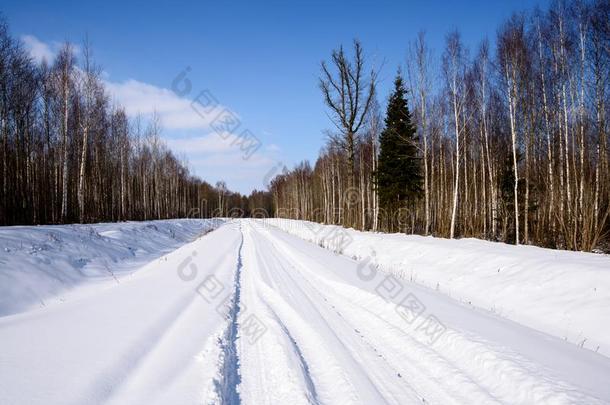 下雪的冬路大量的采用深的雪