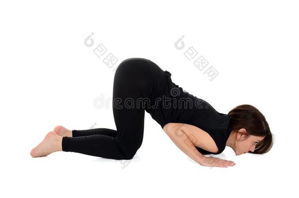 年幼的女人做瑜伽瑜珈的任何一种<strong>姿势</strong>Astang瑜珈的任何一种<strong>姿势</strong>num.八肢使摆<strong>姿势</strong>