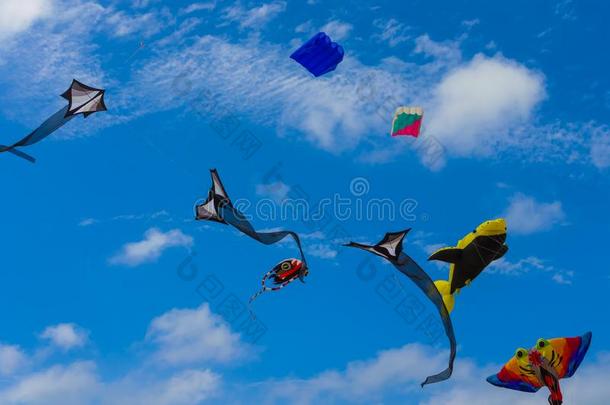 颜色鲜艳的风筝采用蔷薇花蕾风筝节日