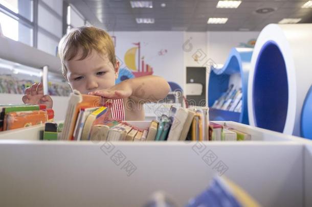 好问的2年男孩搜索的书在图书馆