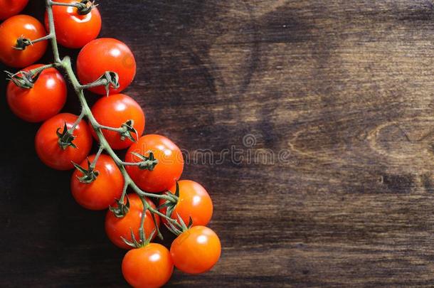 树枝和新鲜的樱桃番茄.成熟的红色的番茄.番茄一