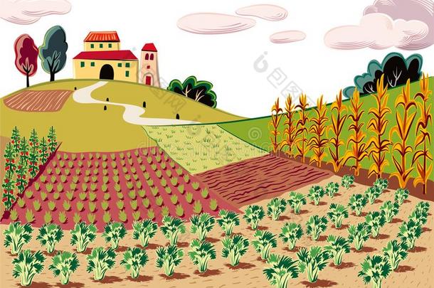 农业的风景,<strong>耕种</strong>的和各种各样的蔬菜和英语字母表的第3个字母