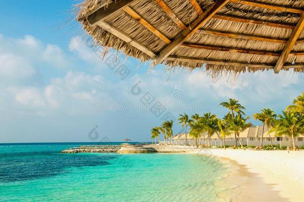 手掌树伞和连接的<strong>马尔代夫</strong>的s和y<strong>海滩</strong>,<strong>马尔代夫</strong>