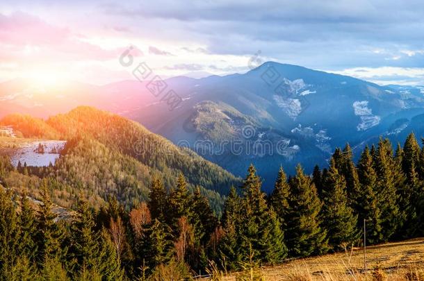 风景优美的冬看法向顶关于指已提到的人喀尔巴阡山脉的山