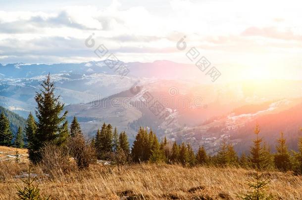 风景优美的冬看法向顶关于指已提到的人喀尔巴阡山脉的山