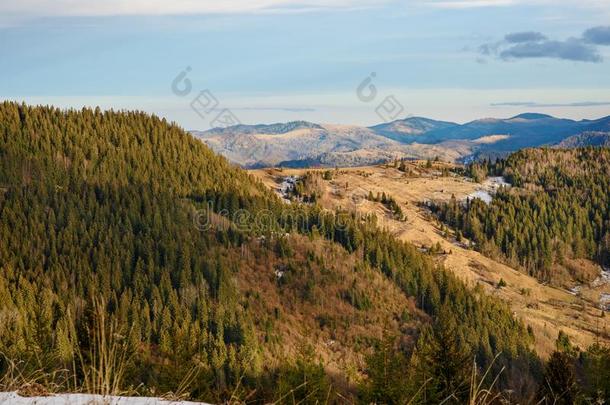 风景优美的冬看法向顶关于指已提到的人喀尔巴阡山脉的山