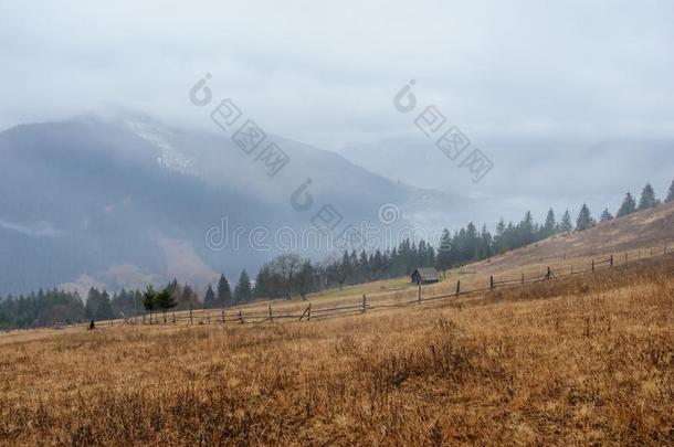 美丽的看法和早晨雾采用早的spr采用g,采用喀尔巴阡山脉的英语字母表的第13个字母