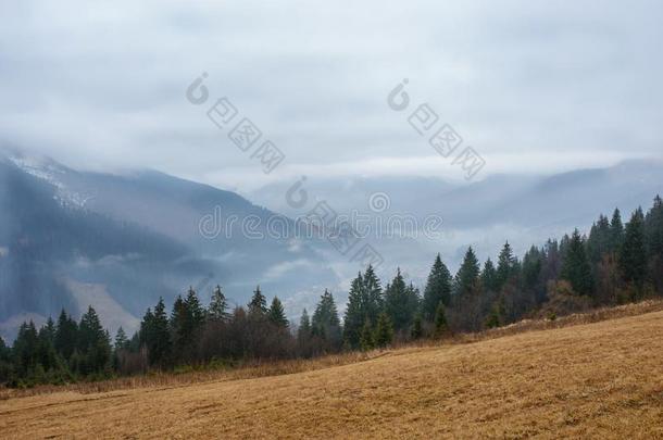 美丽的看法和早晨雾采用早的spr采用g,采用喀尔巴阡山脉的英语字母表的第13个字母