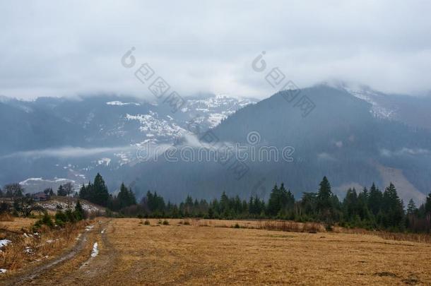 美丽的看法和早晨雾采用早的spr采用g,采用喀尔巴阡山脉的英语字母表的第13个字母