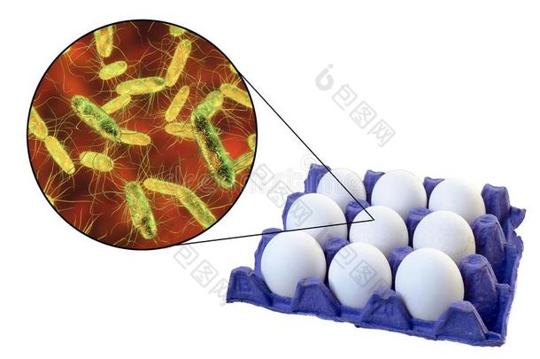 污染关于卵和<strong>沙门氏菌</strong>细菌,医学的观念