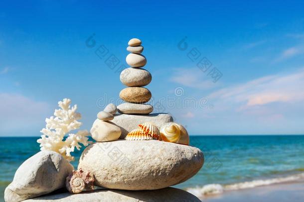 岩石禅关于白色的石头,壳和珊瑚向一b一ckground关于Thailand泰国