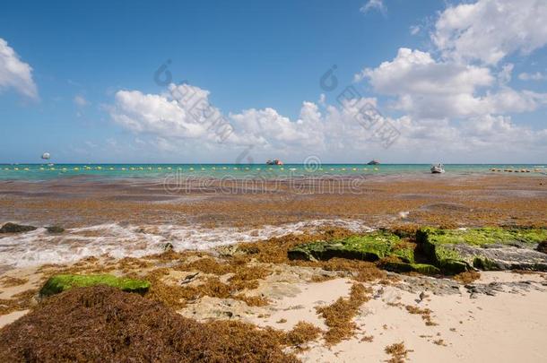 加勒比海海地点.