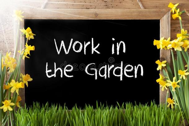 和煦的：照到阳光的春季水仙,黑板,文本使工作采用指已提到的人花园