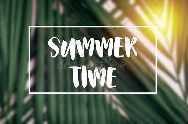 夏时间框架单词和手掌叶子和阳光.热带的背