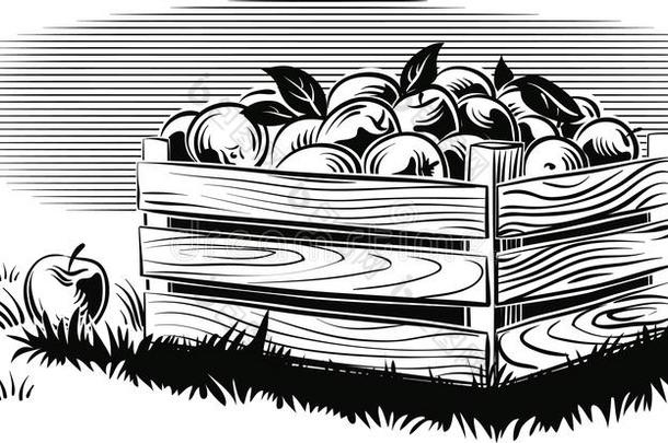 板条箱关于成熟的苹果