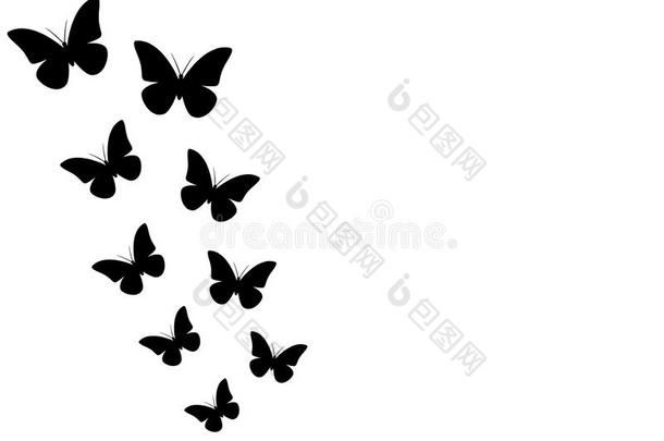 黑的蝴蝶向白色的背景,无缝的壁纸,图解