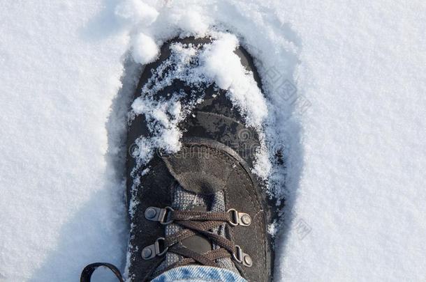 徒步旅行长靴采用雪