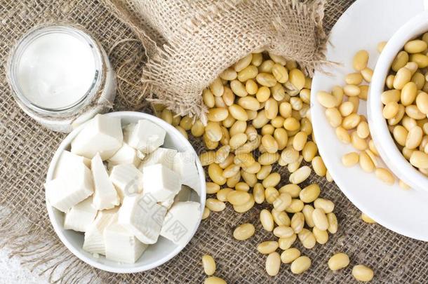 新鲜的有机的大豆乘积:大豆奶,大豆酸奶,大豆切斯豆腐