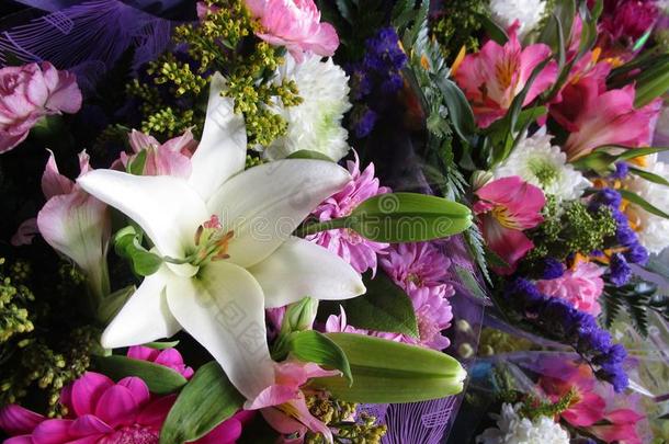 许多新鲜的有魅力的富有色彩的花花束在指已提到的人花对有把握