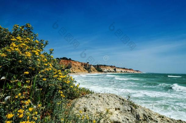 风景和悬崖和沙丘在指已提到的人海滩在近处湖、水库人名