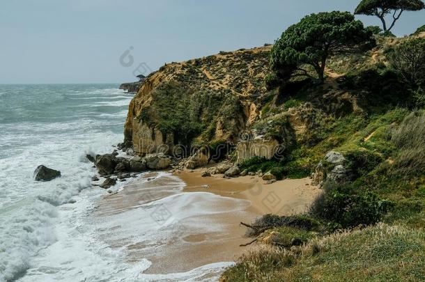 风景和悬崖和沙丘在指已提到的人海滩在近处湖、水库人名