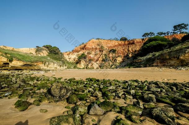 风景和悬崖和沙丘在指已提到的人海滩在近处湖、水库人名