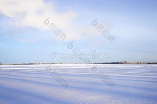 指已提到的人无人的冬风景关于雪和阴影向指已提到的人先知