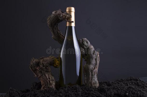 葡萄酒瓶子和藤向拥抱指已提到的人瓶子,从灶台和beta-lactamase内酰胺酶