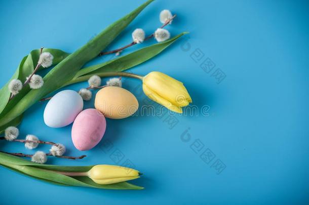 富有色彩的复活节卵和黄色的郁金香手描画的向一蓝色b一