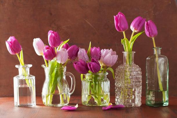 美丽的紫色的郁金香花花束采用装饰瓶