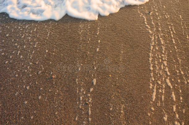 波浪活动的向指已提到的人沙.潮汐关于波浪.海水落下和起泡沫