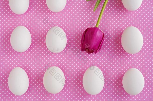 白色的卵和粉红色的花向波尔卡舞点织物