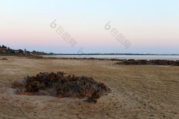 盐湖采用拉纳卡,塞浦路斯