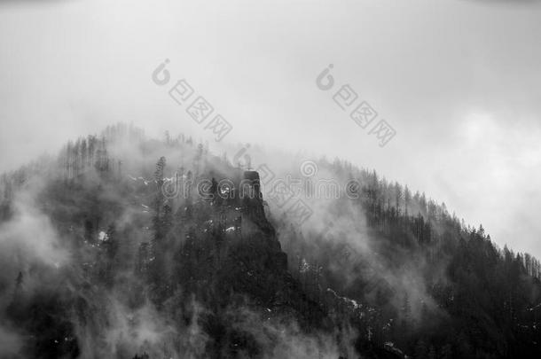 有雾的黑的和白色的悬崖采用指已提到的人哥伦比亚河山峡