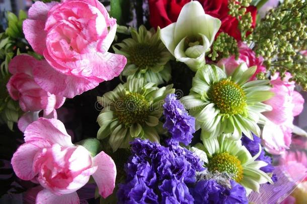 混合的新鲜的有魅力的富有色彩的花花束在指已提到的人花对有把握