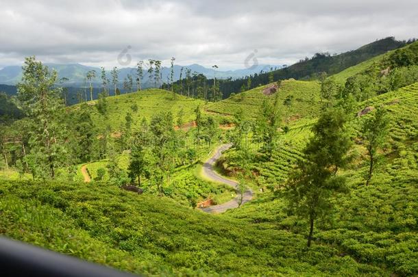 自然和山茶水国家采用斯里兰卡