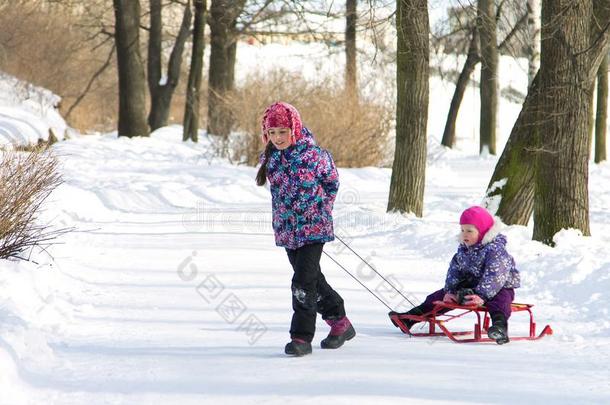 幸福的年长的姐妹拉她年幼的姐妹向指已提到的人雪橇采用雪