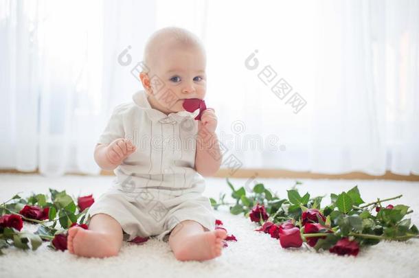 小的漂亮的婴儿蹒跚行走的人男孩,一次和玫瑰为妈妈