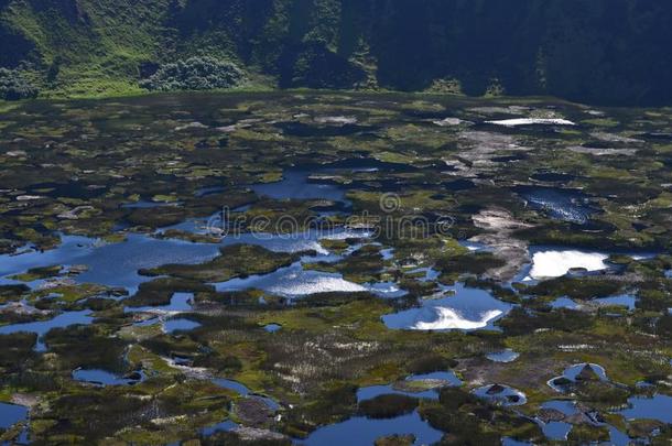 火山拉诺卡乌/拉诺kaol采用陶土,指已提到的人大的火山火山口采用拉帕岛英语字母表的第14个字母