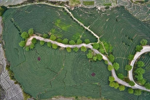 空气的<strong>摄影</strong>向顶关于指已提到的人山茶水花园风景