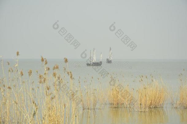 指已提到的人春季风景关于太湖湖在<strong>无锡</strong>,中国.