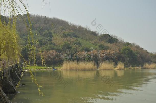 指已提到的人春季风景关于太湖湖在<strong>无锡</strong>,中国.