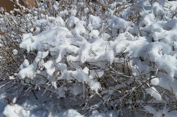 雪-科维德风景