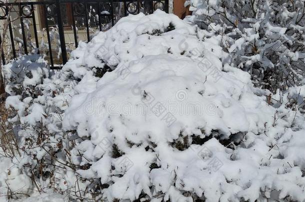 雪-科维德风景