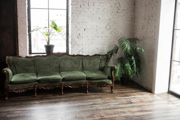奢侈酿酒的绿色的长沙发椅采用指已提到的人房间.古老的木材沙发长沙发椅.